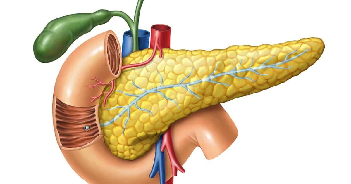 10 Kebiasaan Harian yang Bisa Merusak Fungsi Pankreas