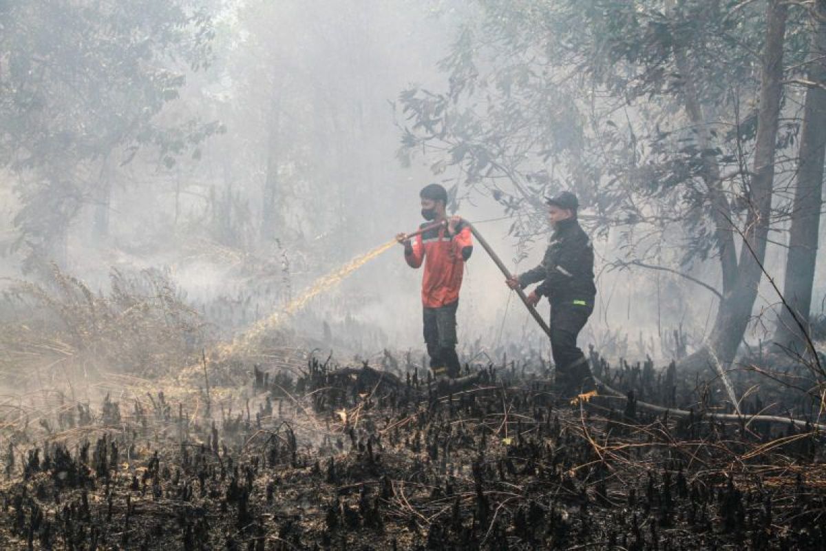 Kabut Asap Meningkat! Aktivitas Warga Kalimantan Terganggu